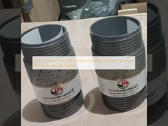 精密な穴直径とビット安定性のための天然ダイヤモンドセットNQリミングシェル